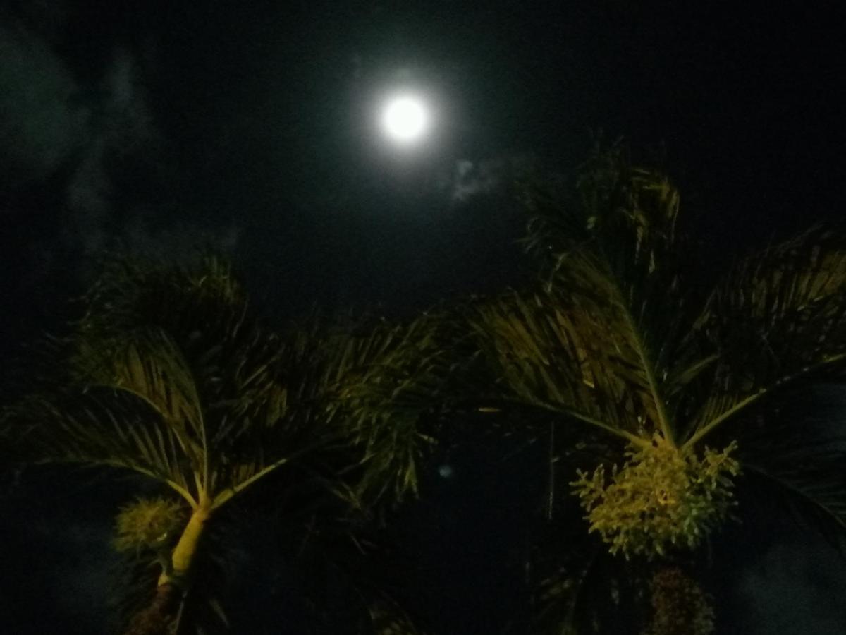 קפוס Hotel Malinche מראה חיצוני תמונה